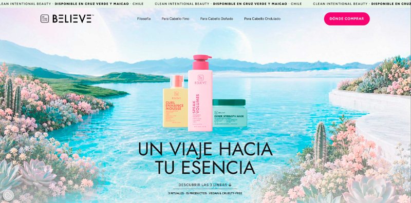 Version web 1
