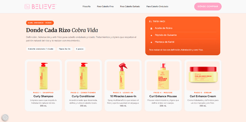 Version web 6